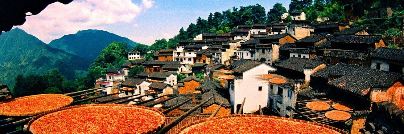 <b>ѧ ʵ Բ ׿Խ</b>